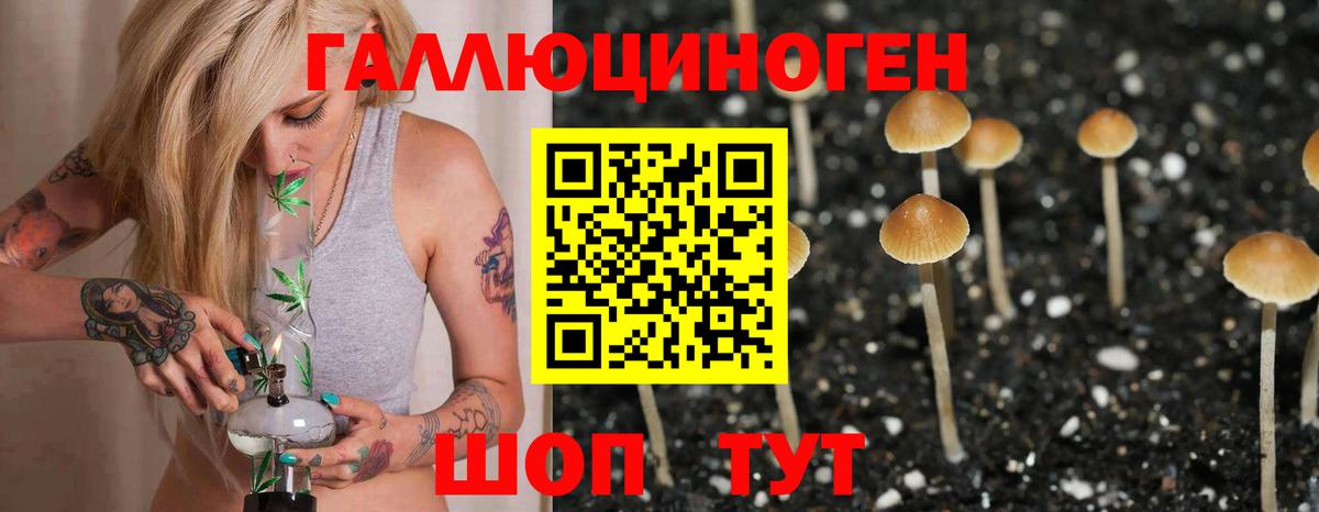НБОМе Сергиев Посад