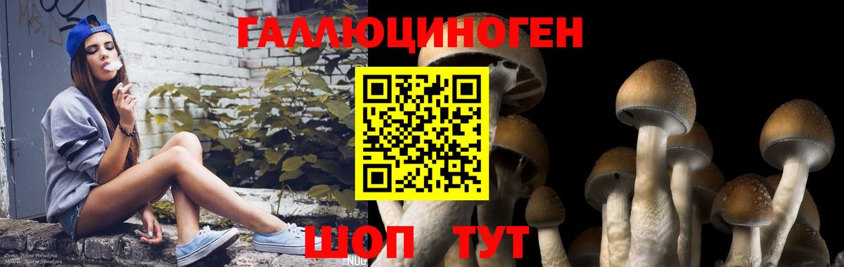 Галлюциногенные грибы Magic Shrooms  Вход с VPN  Сергиев Посад 